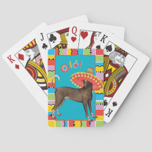 Jeu De Cartes Fiesta Xolo