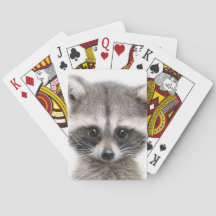 Figure de dessin Raccoon sur les cartes de lecture