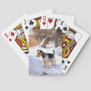 Jeu De Cartes Fil Fox Terrier Laisser neiger Noël