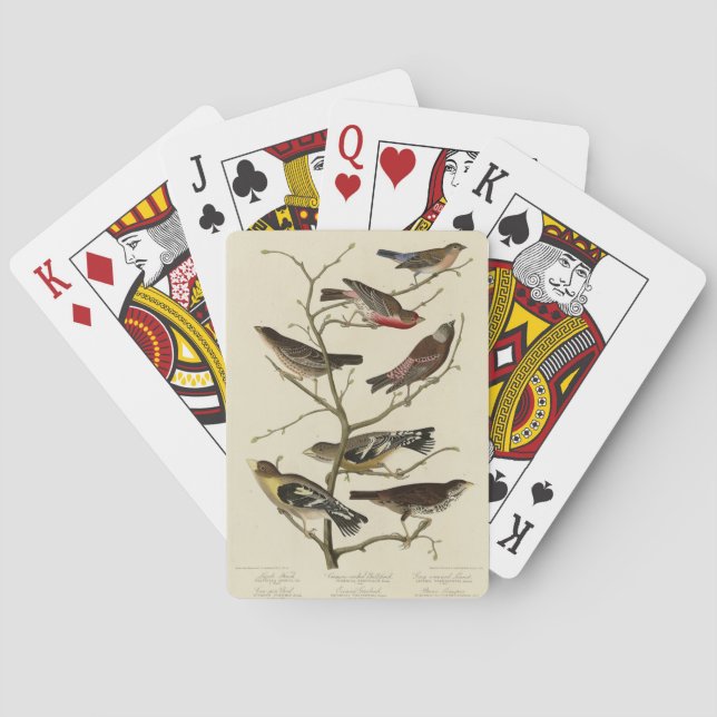 Jeu De Cartes Finch, Bunting, Grosbeak, Audubon Birds of America (dos)