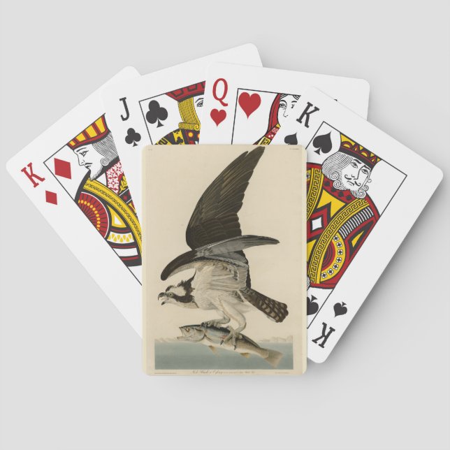 Jeu De Cartes Fish Hawk, Osprey, d'Audubon's Birds of America (dos)