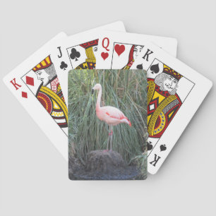 Jeu De Cartes Flamant rose