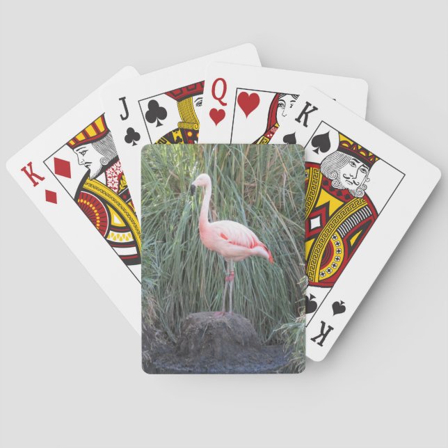 Jeu De Cartes Flamant rose (dos)
