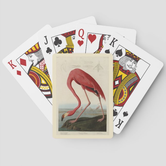 Jeu De Cartes Flamant rose américain d'Audubon's Birds of Americ (dos)
