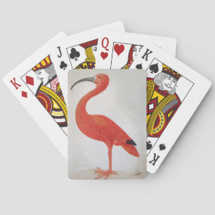 Jeu De Cartes Flamant rose - Carte de Jeu Art