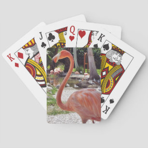 Jeu De Cartes Flamant rose rose