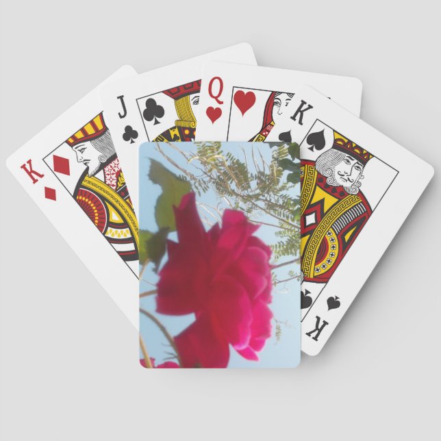 Jeu De Cartes Fleur céleste : Un Rose contre le ciel (dos)