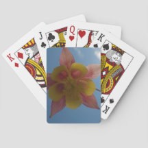 Fleur contre les cartes Sky