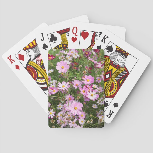 Jeu De Cartes Fleur Cosmos (Bidens Formosa). Kirkwood (dos)
