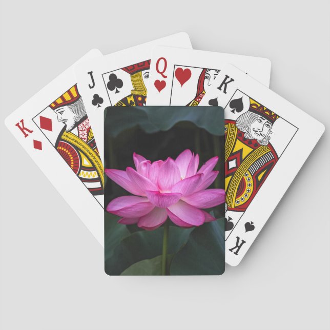 Jeu De Cartes Fleur de Lotus (dos)
