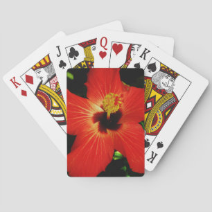 Jeu De Cartes Fleur d'Hibiscus rouge-orange