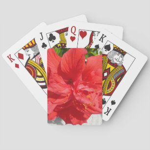 Jeu De Cartes Fleur double hibiscus rouge