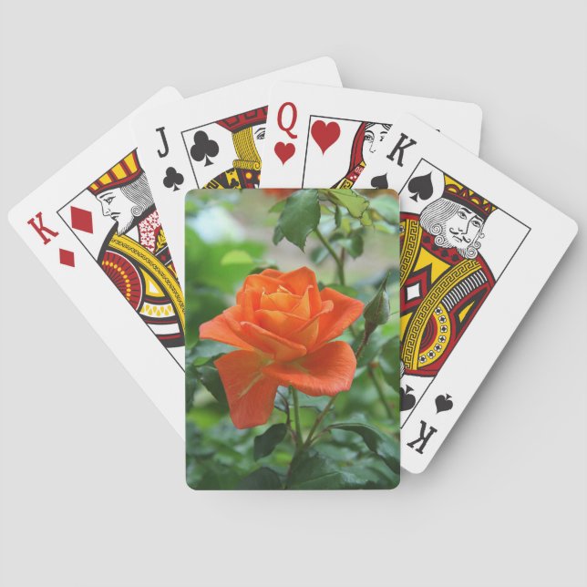 Jeu De Cartes Fleur rose de la nature (dos)
