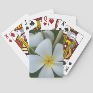 Jeu De Cartes Fleur Tropicale Blanche De Fidji