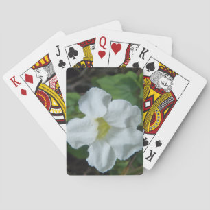 Jeu De Cartes Fleur tropicale blanche trouvée à Fidji