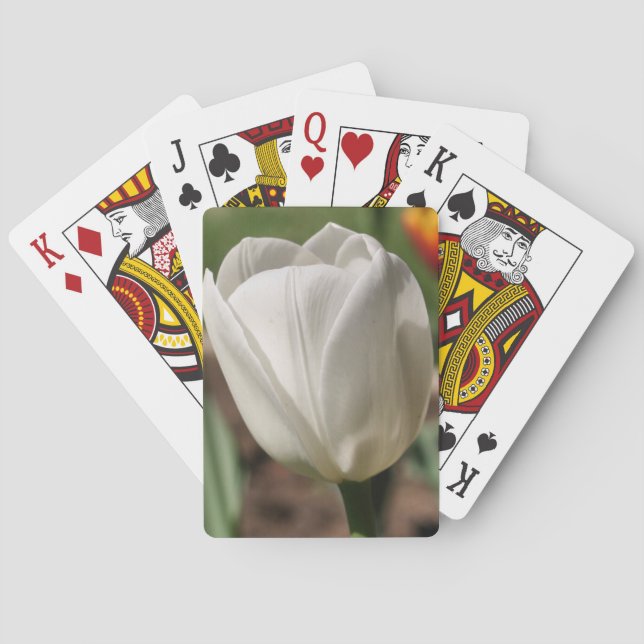 Jeu De Cartes Fleur Tulipe Blanche Au Soleil (dos)