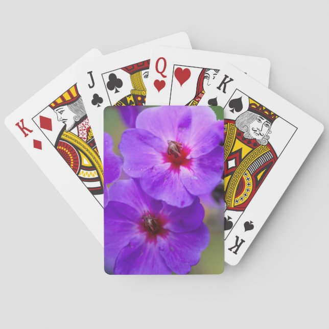 Jeu De Cartes Fleur violette (dos)