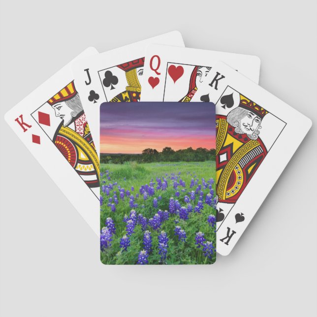 Jeu De Cartes Fleurs | Bluebonnets à Sunset Texas (dos)