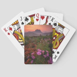 Jeu De Cartes Fleurs   Chiang Dao, Chiang Mai, Thaïlande