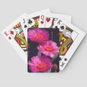 Jeu De Cartes Fleurs de Cactus Beavertail 2