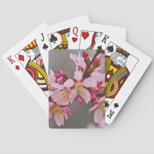 Jeu De Cartes Fleurs de cerisier japonaises roses sur un ciel gr