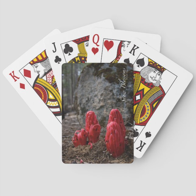 Jeu De Cartes Fleurs de neige (dos)