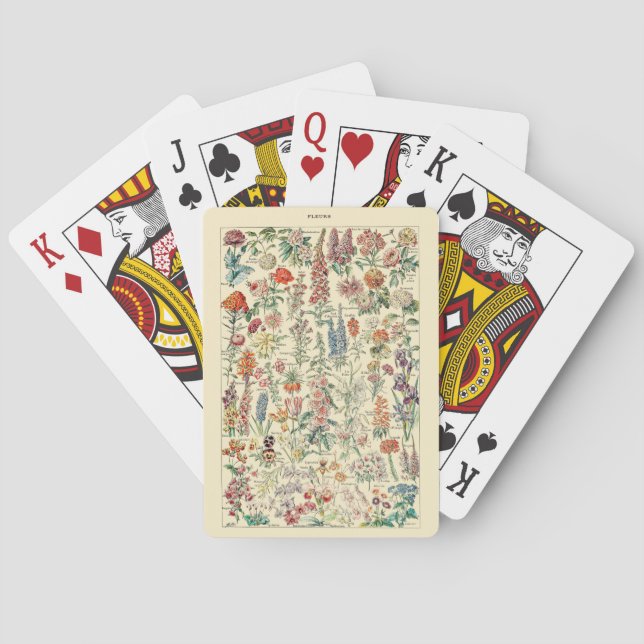 Jeu De Cartes Fleurs Diagramme de Fleur sauvage botanique Lectur (dos)
