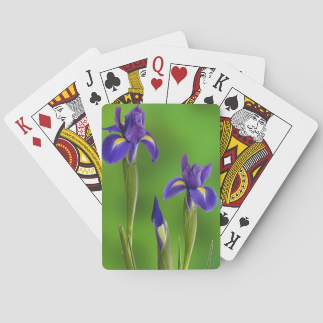 Jeu De Cartes Fleurs d'iris (dos)