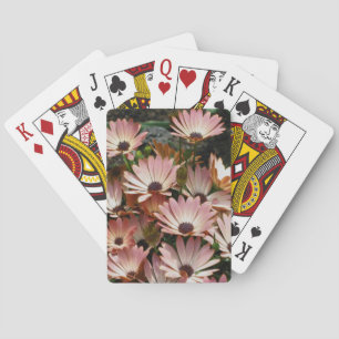 Jeu De Cartes Fleurs marguerites africaines roses