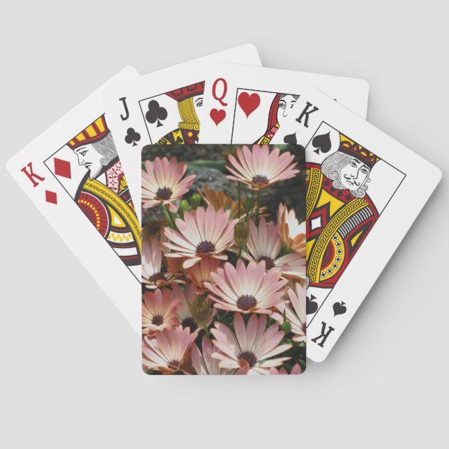 Jeu De Cartes Fleurs marguerites africaines roses (dos)