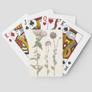 Jeu De Cartes Fleurs pressées - rose