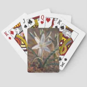Jeu De Cartes Fleurs sauvages de lys du désert