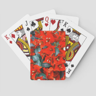Jeu De Cartes Fleurs vibrantes de bougainvillée rouge