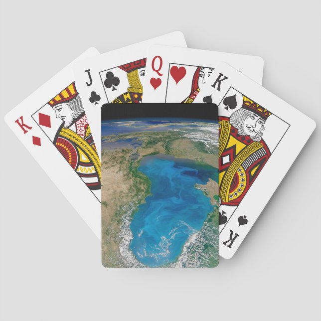 Jeu De Cartes Floraison De Phytoplancton Bleu En Mer Noire (dos)