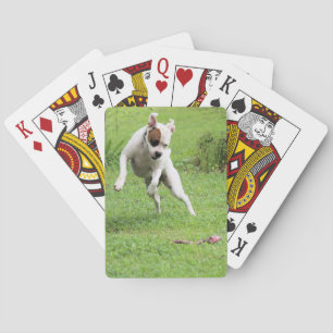 Jeu De Cartes Flottant