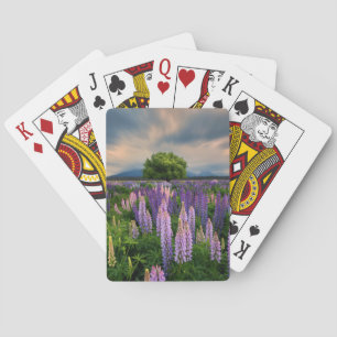 Jeu De Cartes Flowers (homonymie) Lupine Field à New Zealand