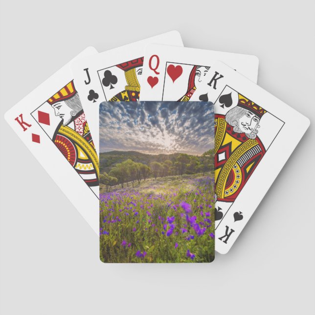 Jeu De Cartes Flowers (homonymie) | Ordre d'Australie (dos)