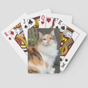 Jeu De Cartes Fluffy Calico Kitty Chat