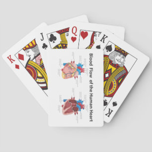 Jeu De Cartes Flux sanguin du coeur humain