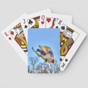 Jeu De Cartes Flying Mallard Duck Drake Wildlife Photo