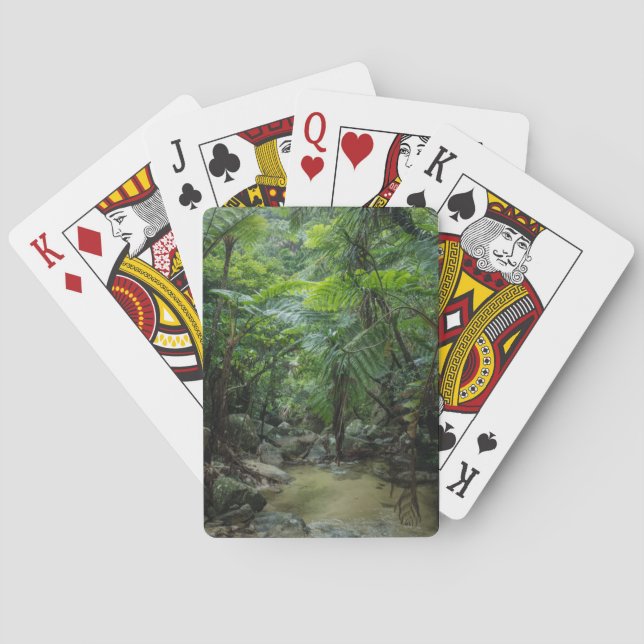 Jeu De Cartes Forests | Iriomote Ishigaki National Park (dos)