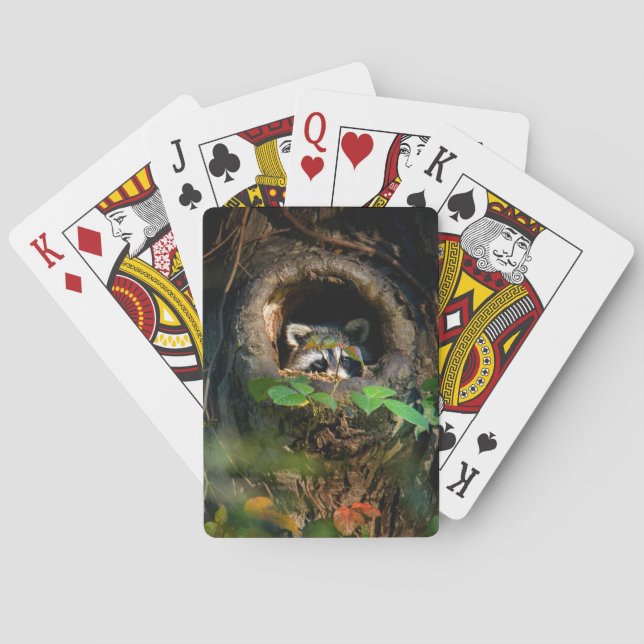 Jeu De Cartes Forests | Raccoon Peeking (dos)
