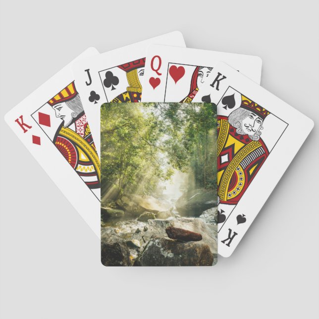 Jeu De Cartes Forests | Tropical Jungle Forest (dos)