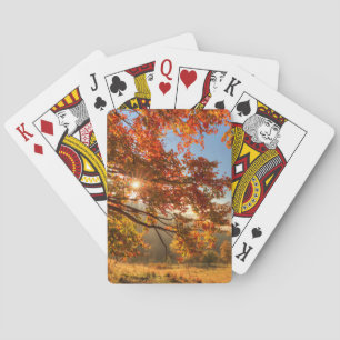 Jeu De Cartes Forêt d'automne dans les montagnes