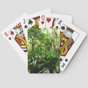 Jeu De Cartes Forêt de pluie dominicaine I Nature verte tropical