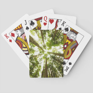 Jeu De Cartes Forêt tropicale verte luxuriante