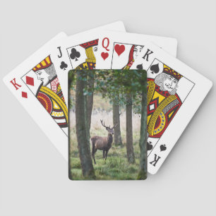 Jeu De Cartes Forêt   Woodlands & Red Deer