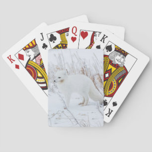 Jeu De Cartes Fox arctique