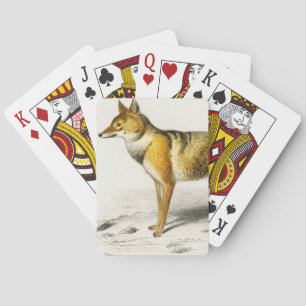 Jeu De Cartes Fox vintage illustré