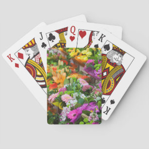 Jeu De Cartes France, Nord, Flandre française, Lille, Wazemmes